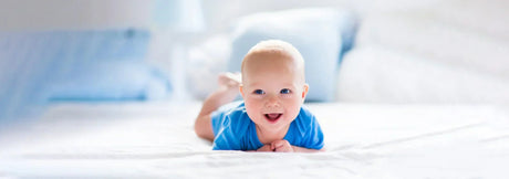 Probiotics 101: Probiotics and the Microbiome