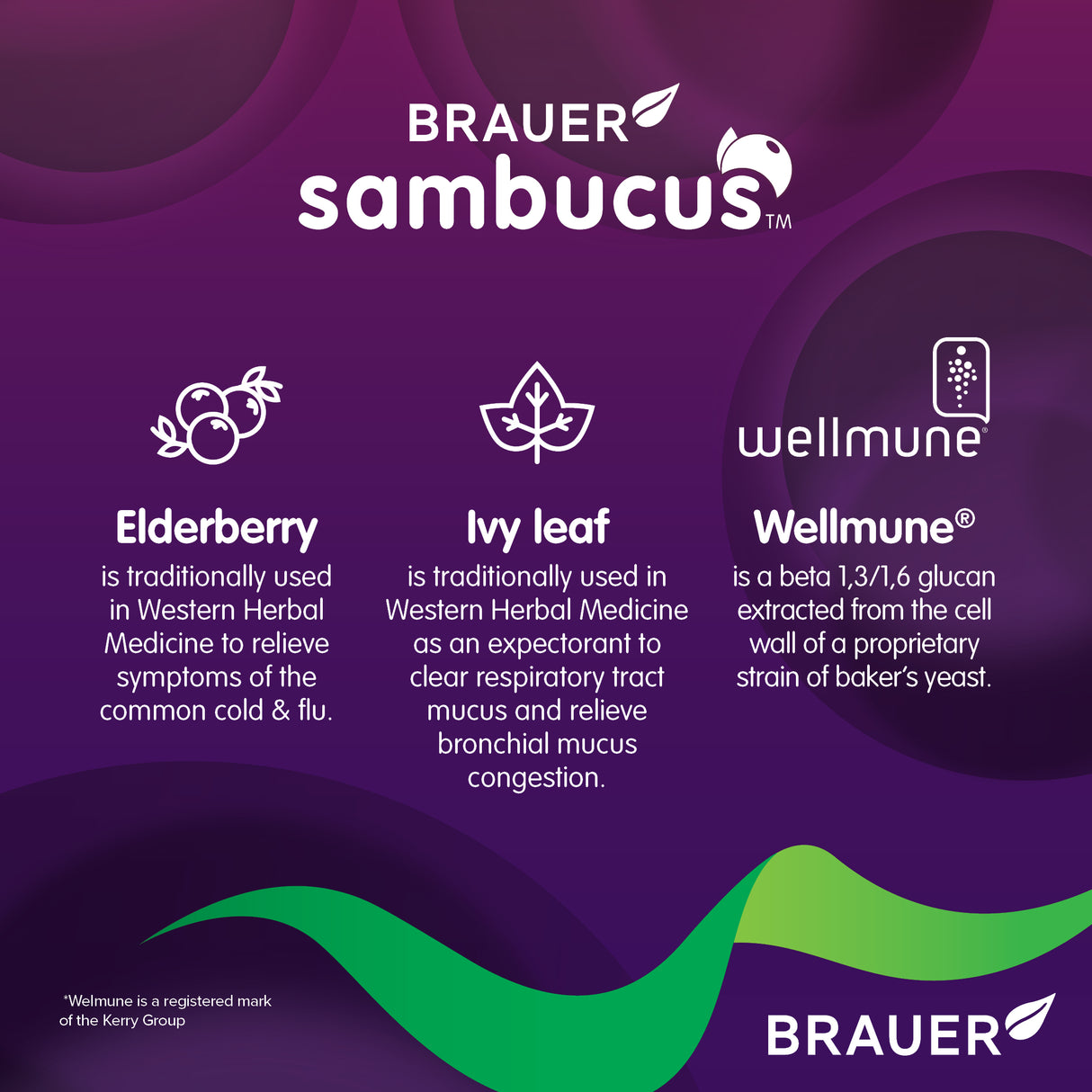 Sambucus Cold & Flu Forte Adults