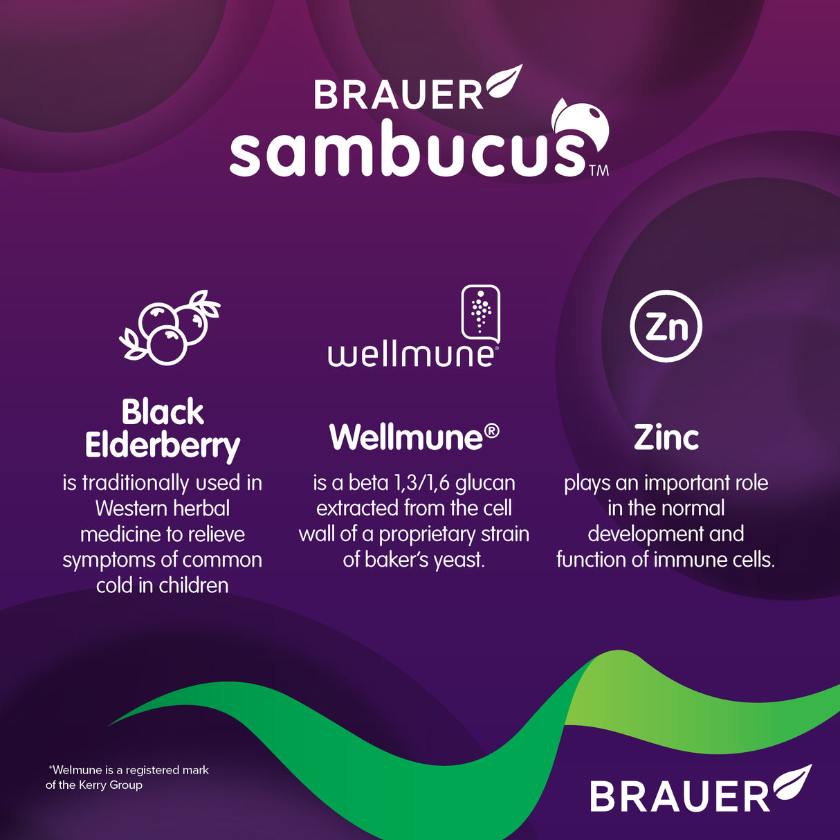 Sambucus Immune Plus Kids