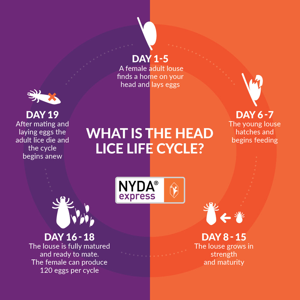 NYDA® express Family Pack