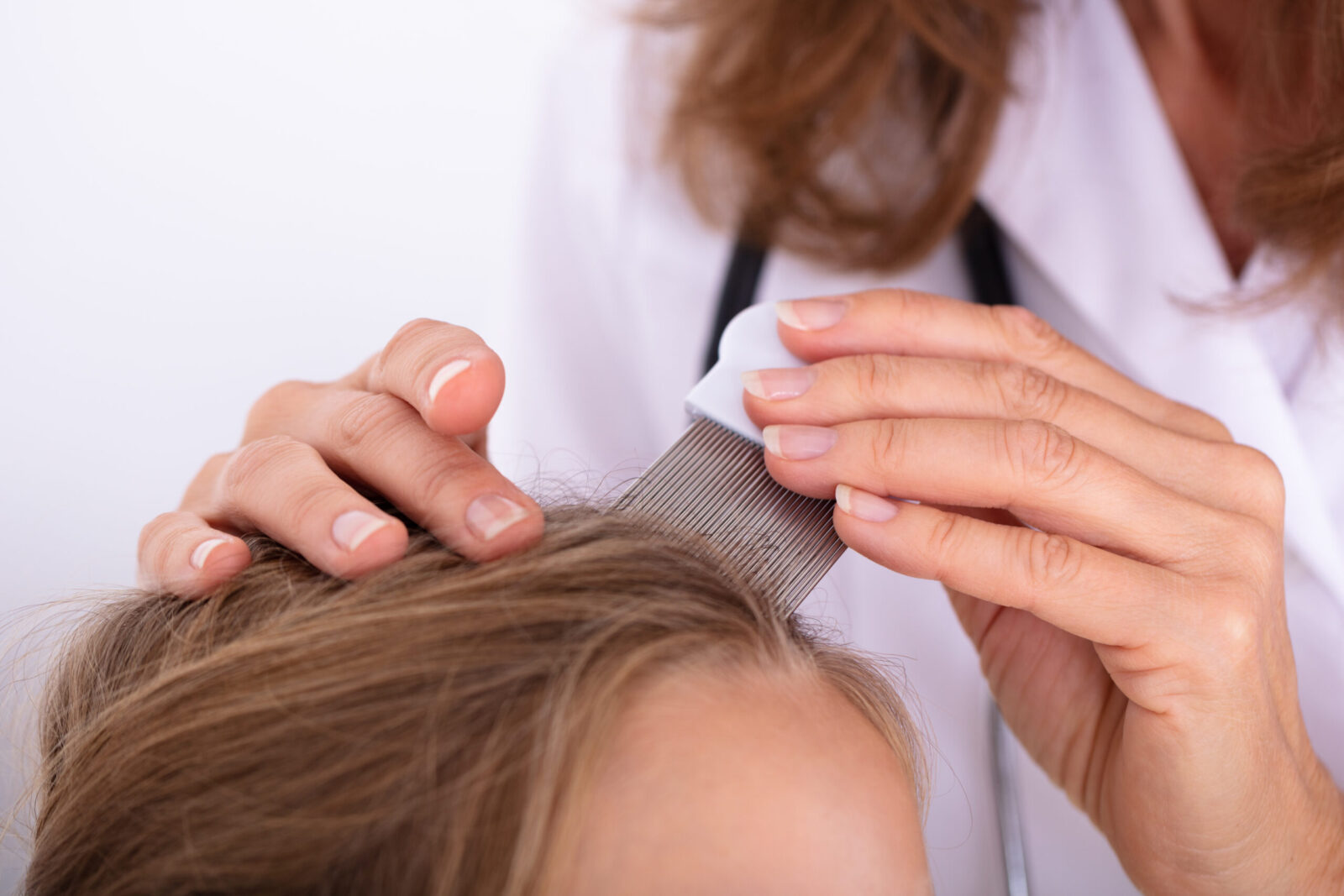 Head Lice: The Facts, Myths & How to Avoid Them