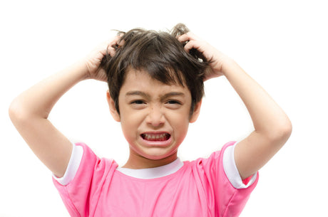 Head Lice Facts Sheet: 4 of the Most Common Myths Debunked