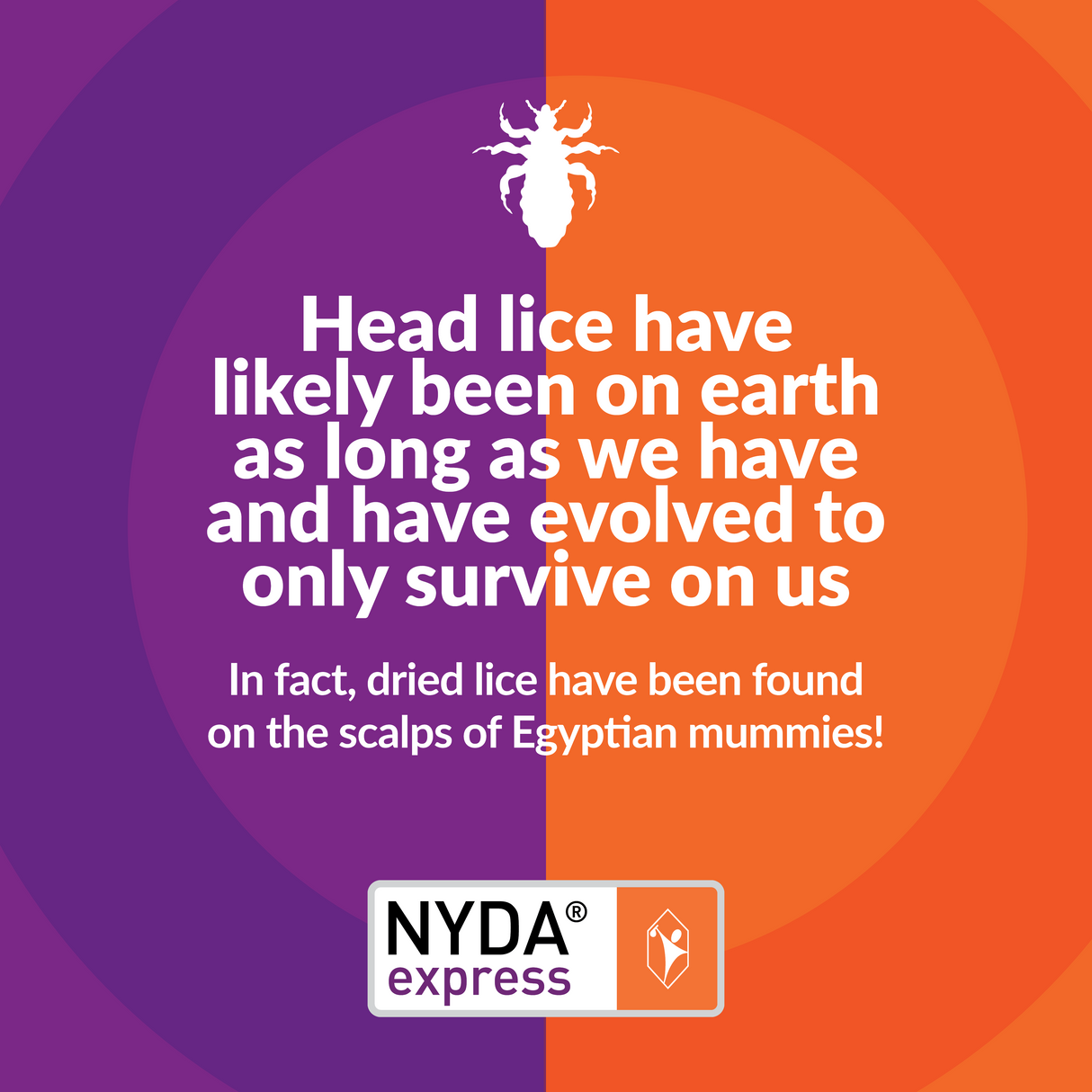 NYDA® express Family Pack