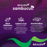 Sambucus Black Elderberry Dry Cough Kids 100ml